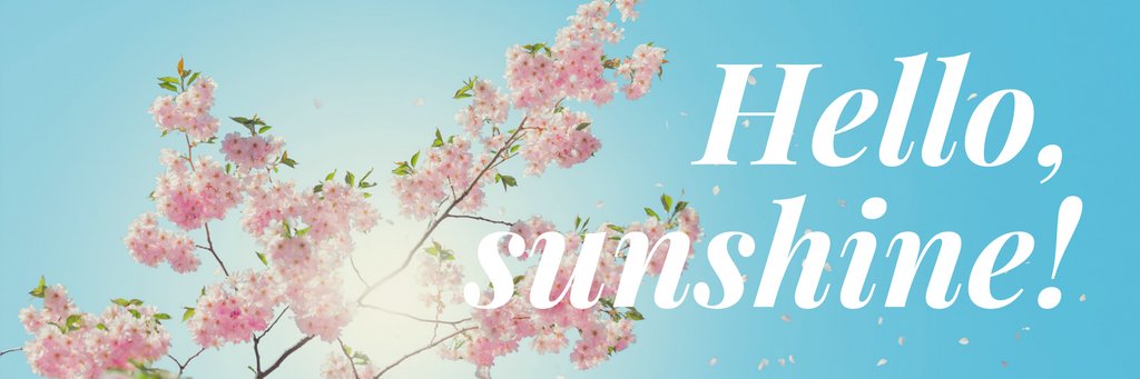 esauder28's profile banner image
