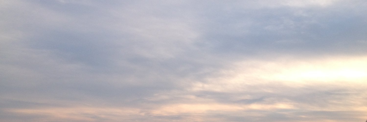 acidred90381's profile banner image