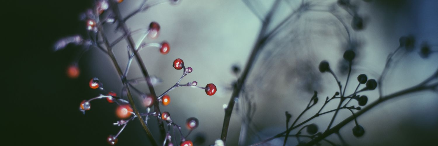 brentarantola's profile banner image