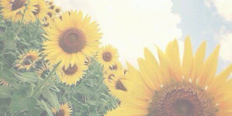 _____mum's profile banner image