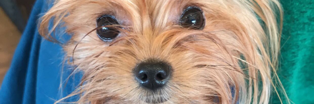 kateiio's profile banner image