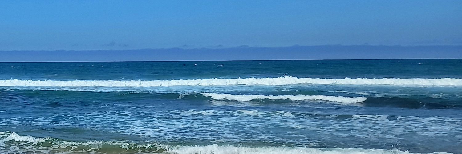 sharksfernando's profile banner image