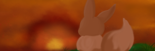 usamichan13's profile banner image