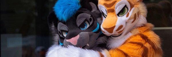 Arcothewolf Profile Banner