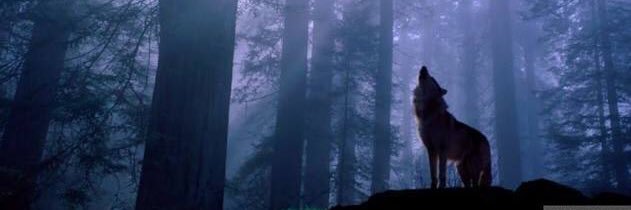 karlbagay's profile banner image