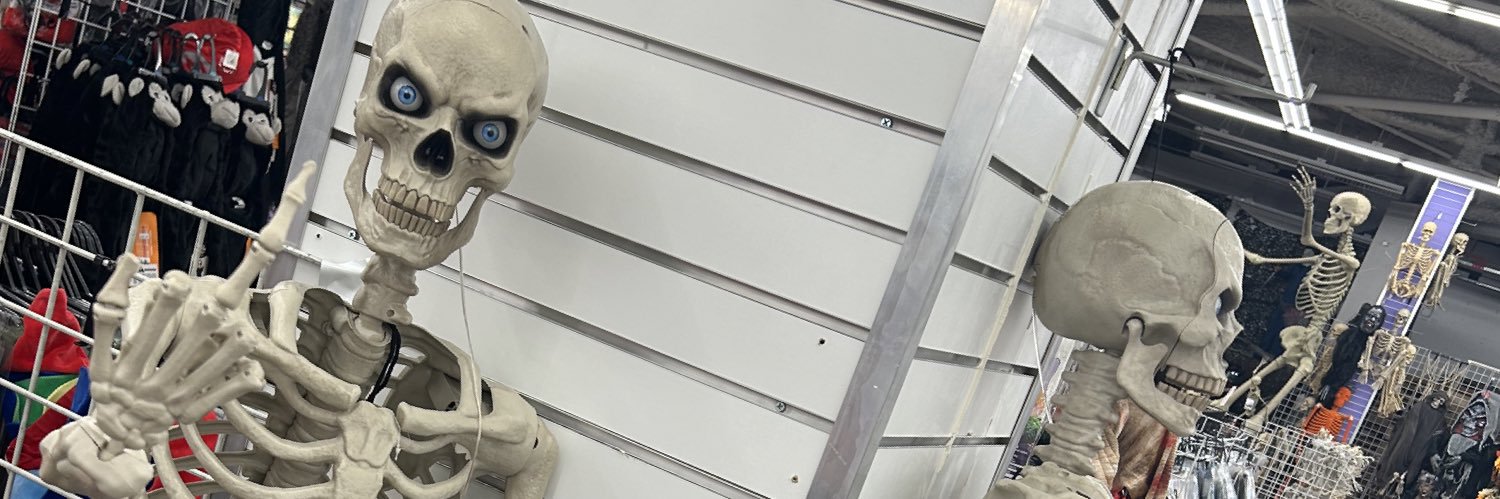 Ash 🐈‍⬛✨🐦‍⬛ banner