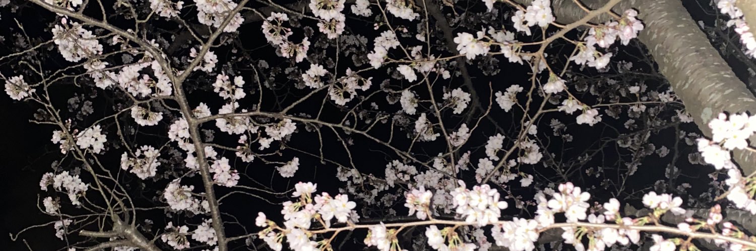 TAya081's profile banner image