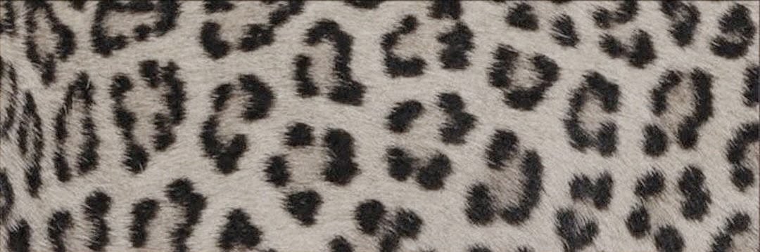 RMaris_'s profile banner image