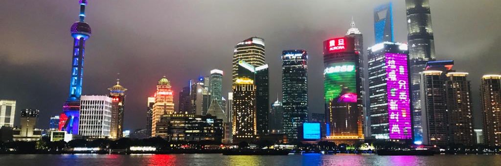 Marco Fernandes banner