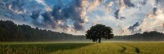 s5a1e8's profile banner image