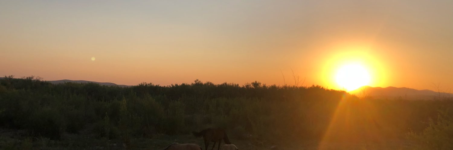 GusDvid's profile banner image