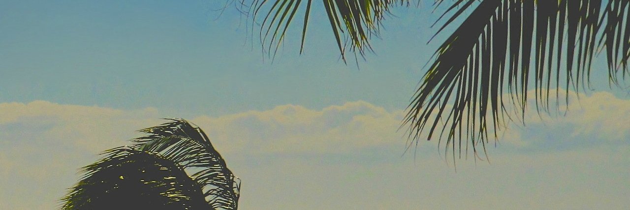 Scarlett Fisher banner