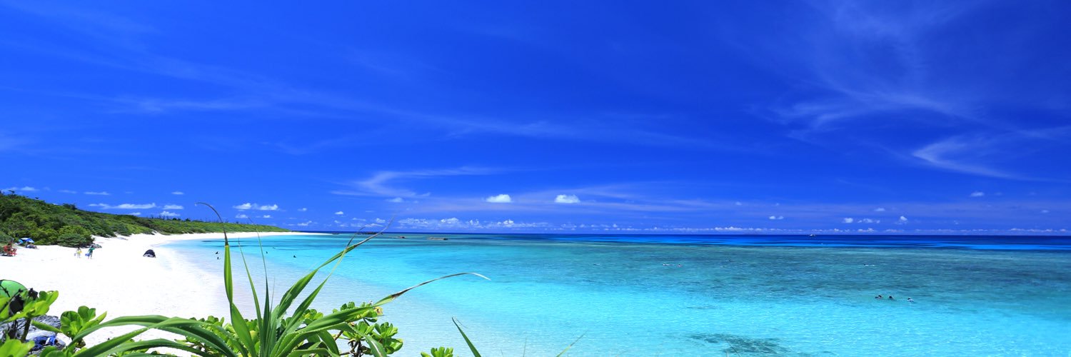 toripppi43's profile banner image