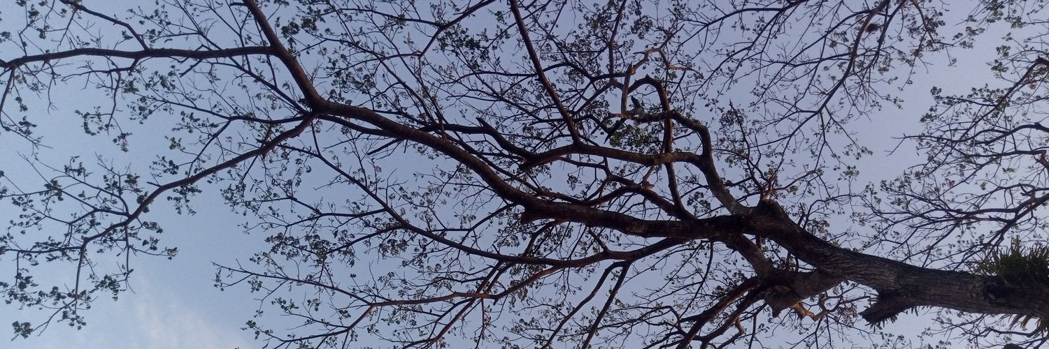 AnggixH's profile banner image