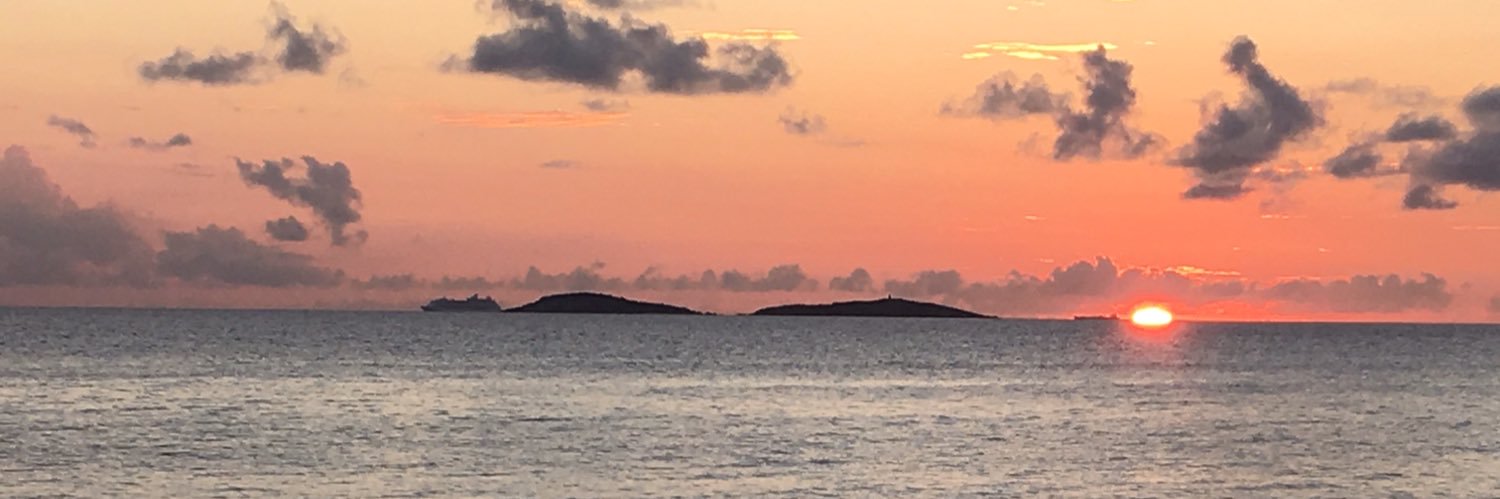 allietuckermudd's profile banner image