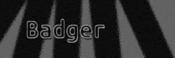 TShrimpBadger's profile banner image