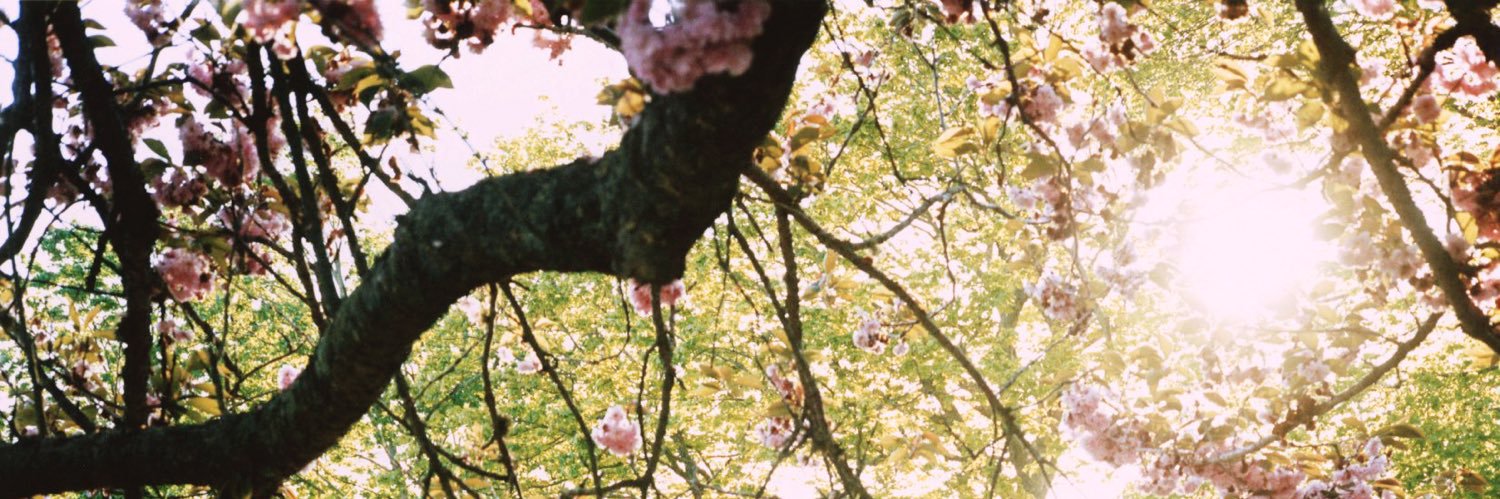 grace_hellwege's profile banner image