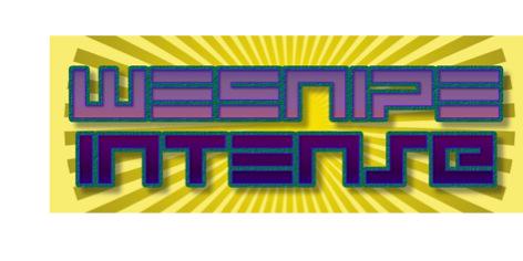 WeSnipeInTeNsE's profile banner image