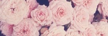 xhelsieex's profile banner image