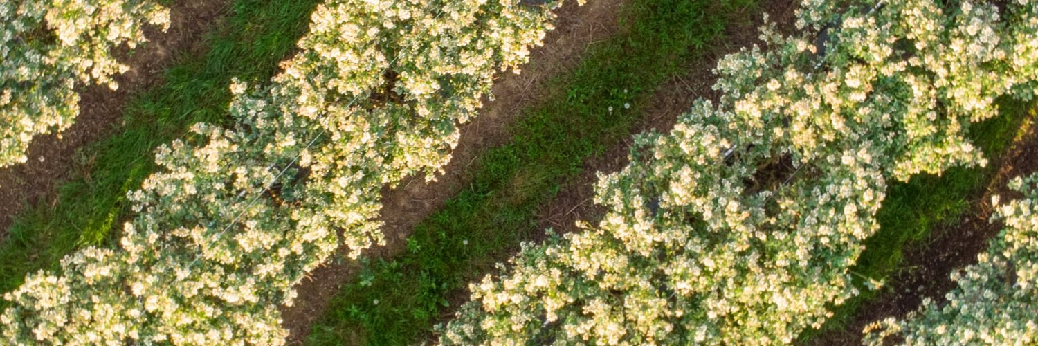 HHPFarming's profile banner image