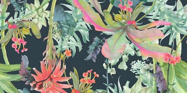 cecifoffano's profile banner image
