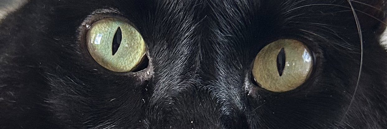 materealizei's profile banner image