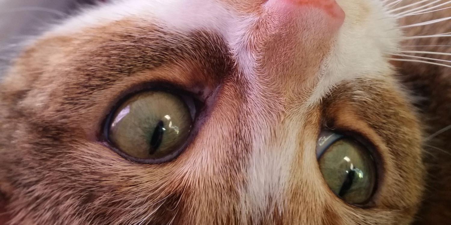 SamMackman's profile banner image