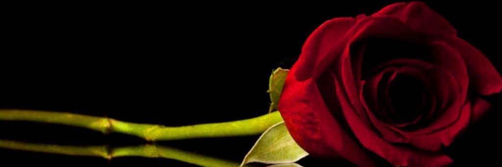 bsathya_'s profile banner image