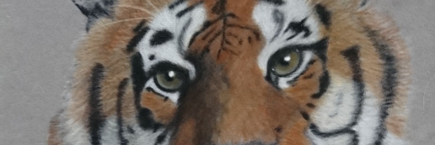 ZuePhotography's profile banner image