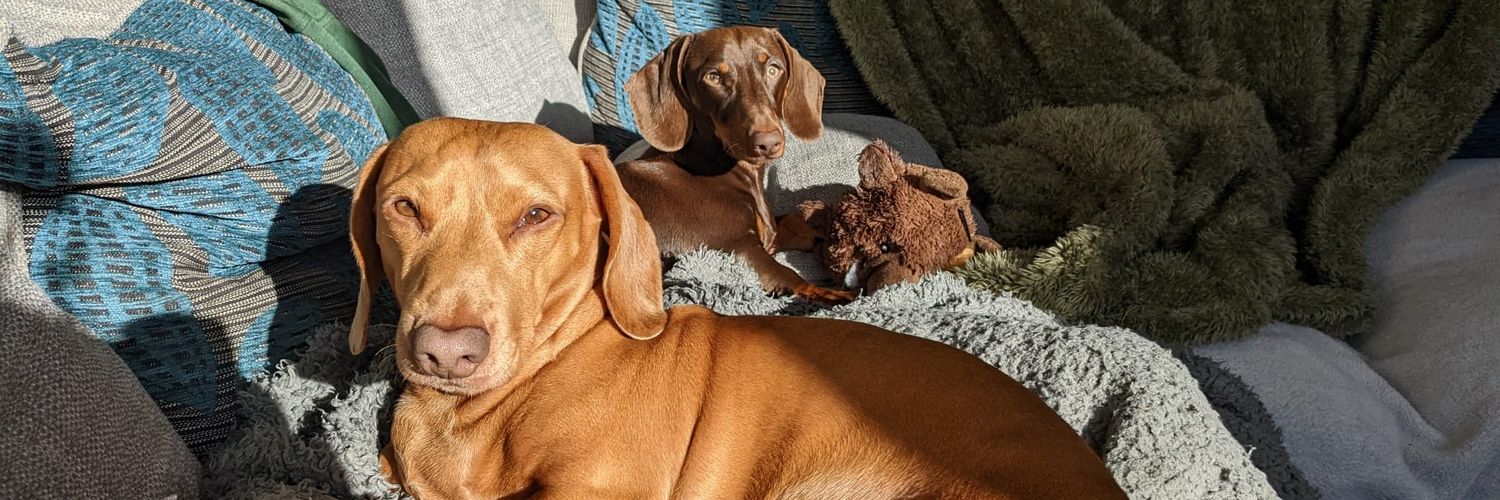 Joshua Whitehead banner