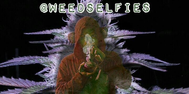 WeedSelfies's profile banner image
