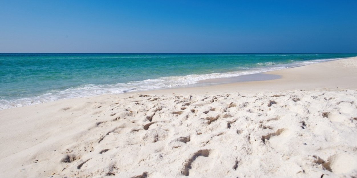 Maggie Hockersmith banner