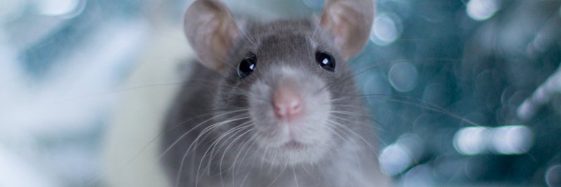 Tenmashi @💙🏙️ banner