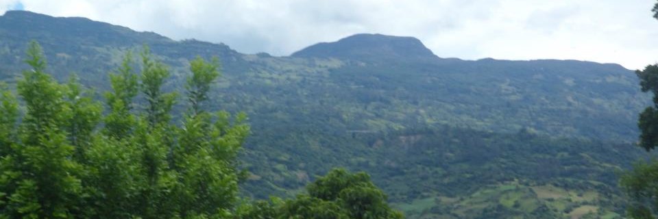 serunoser's profile banner image