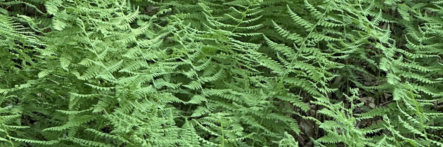 rubinversion's profile banner image