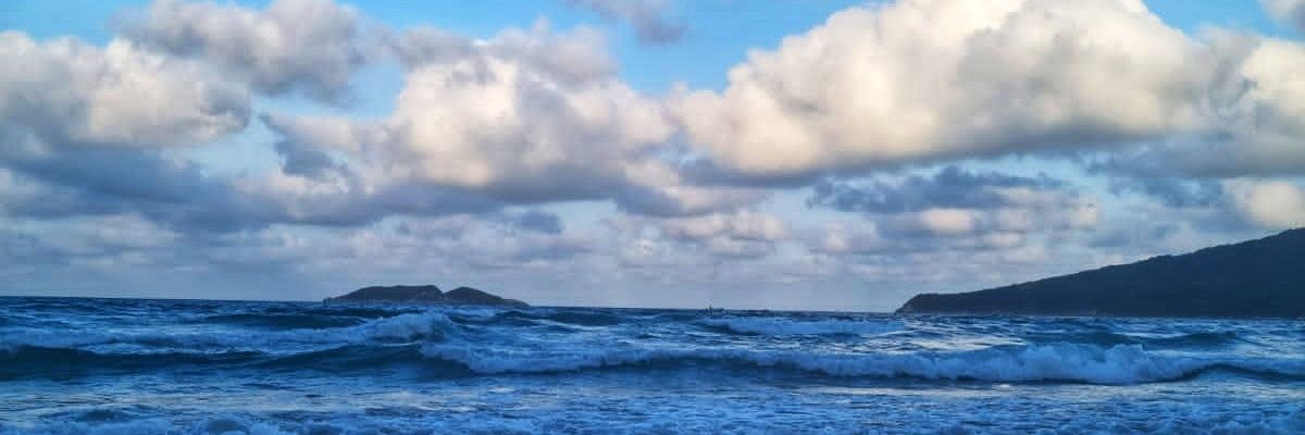 🌙 banner