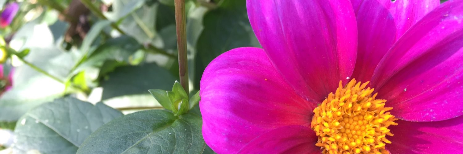 FreshOffTheRunA's profile banner image
