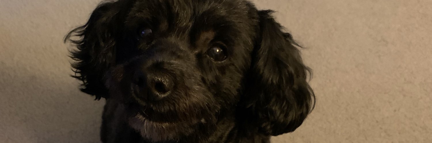 parfetdylan's profile banner image