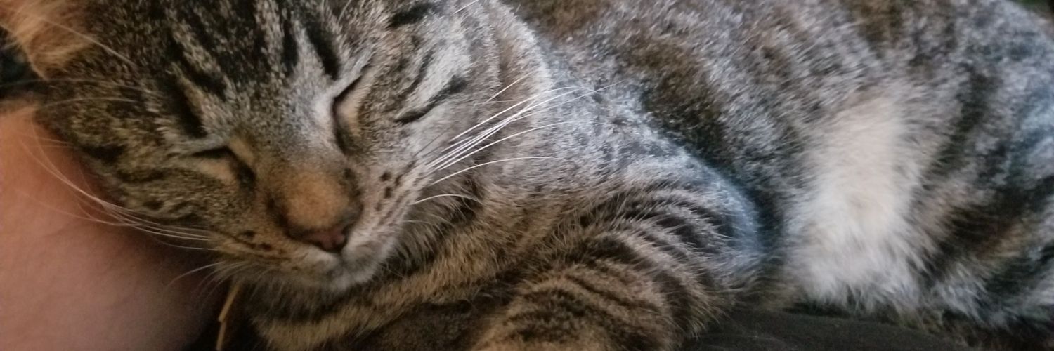 Dedwrekka's profile banner image