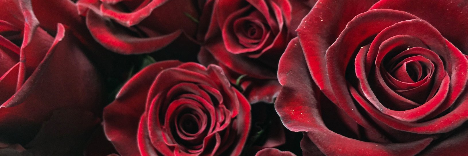 fleur_concept's profile banner image
