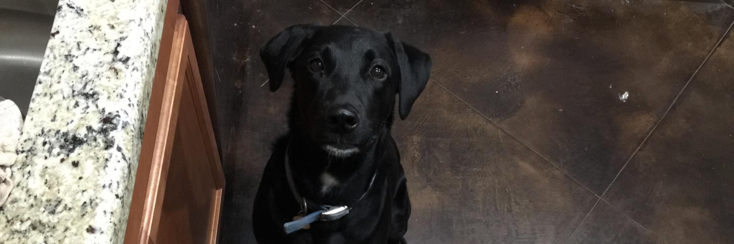 Louis the third banner