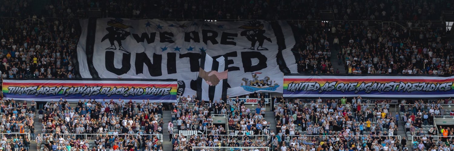 Mark Dodd banner