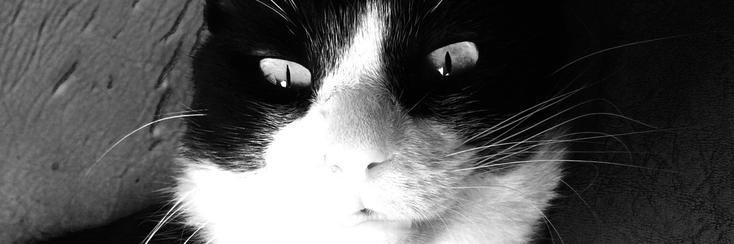 Gaby banner