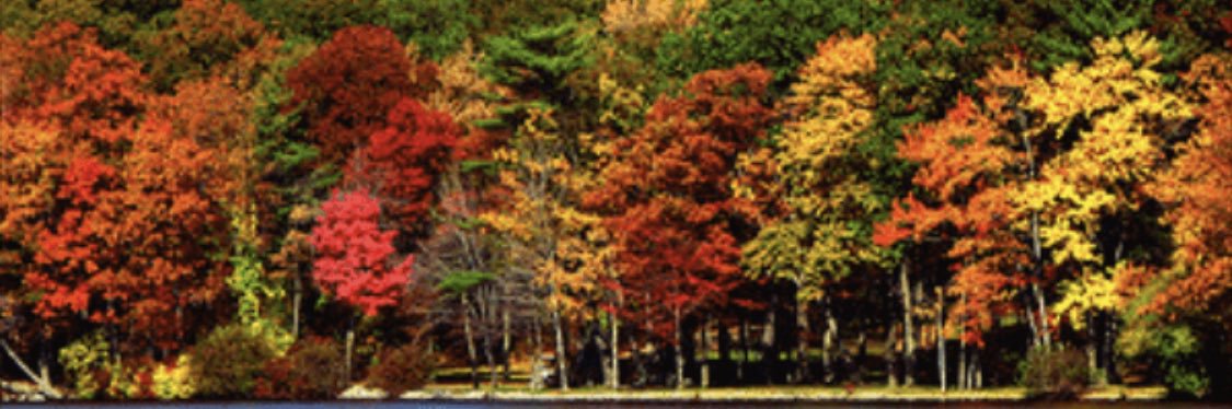 bigntrendy's profile banner image