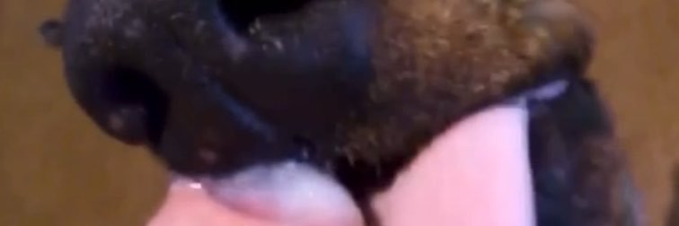 blackstud7851's profile banner image