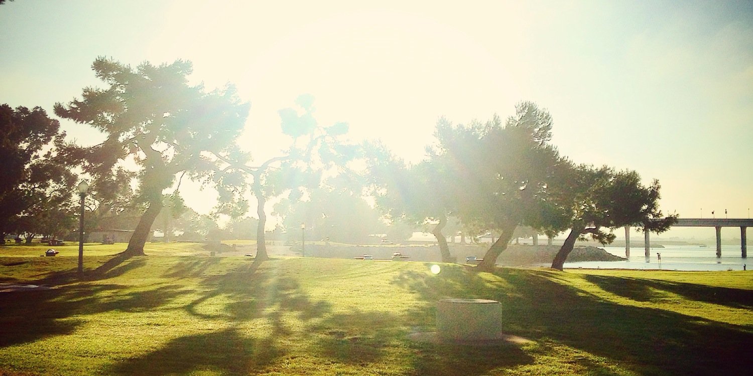 SaintCraftRick ⚜️🍺📻 banner