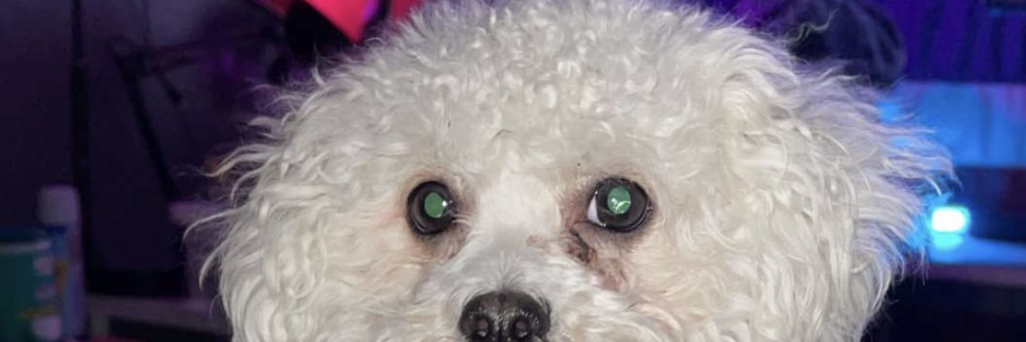 Chriispy__'s profile banner image