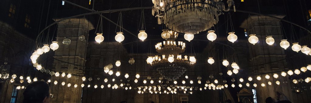 Sophia Sample banner