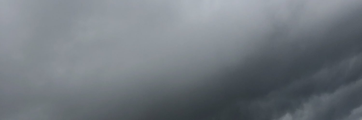 asnatee's profile banner image