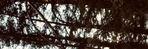 gemma_hayes Profile Banner